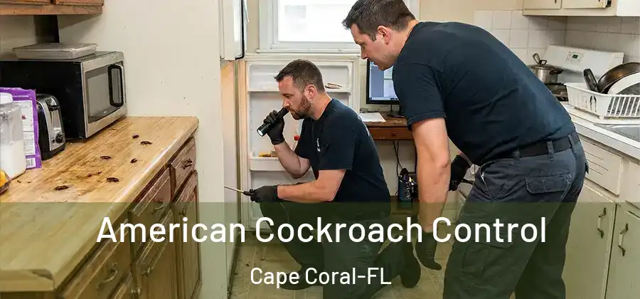  American Cockroach Control Cape Coral-FL