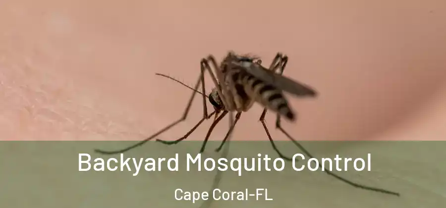  Backyard Mosquito Control Cape Coral-FL