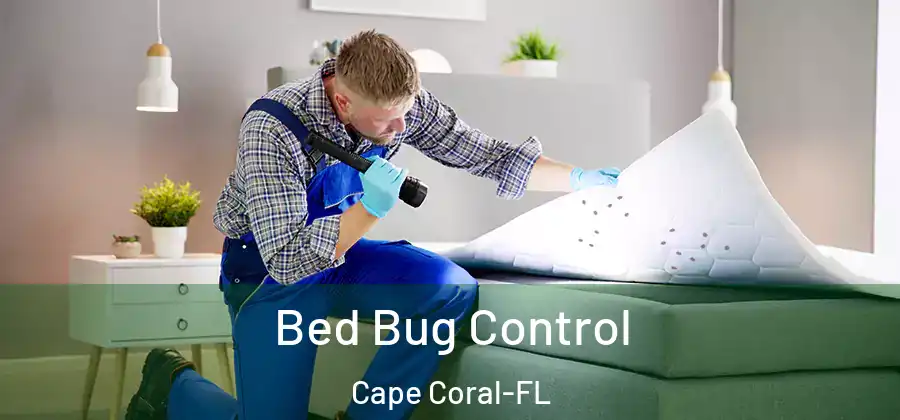  Bed Bug Control Cape Coral-FL