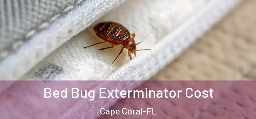  Bed Bug Exterminator Cost Cape Coral-FL