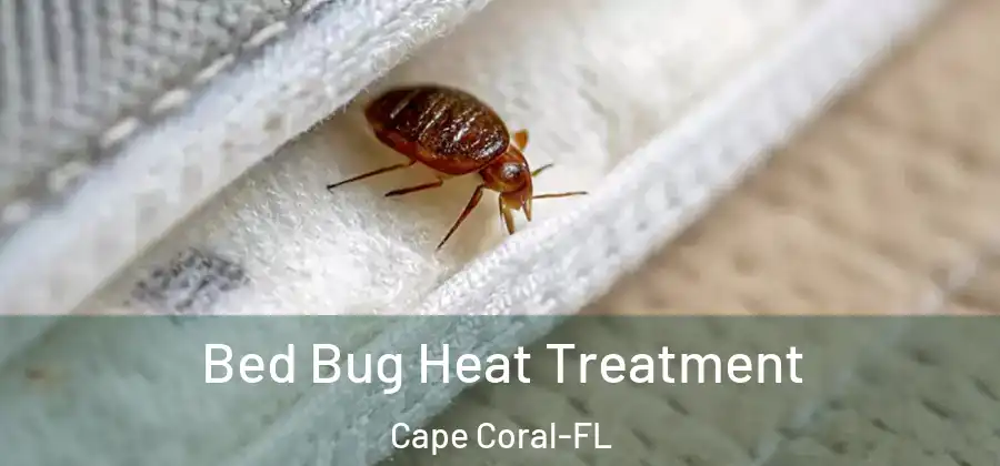  Bed Bug Heat Treatment Cape Coral-FL