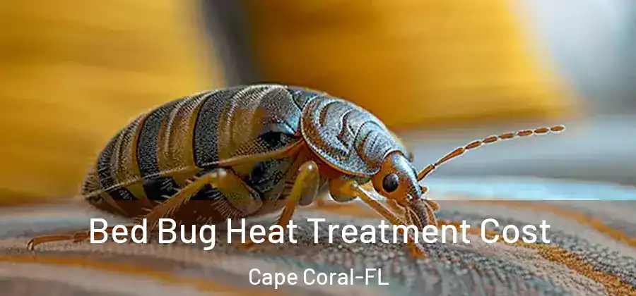  Bed Bug Heat Treatment Cost Cape Coral-FL
