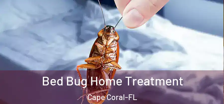  Bed Bug Home Treatment Cape Coral-FL