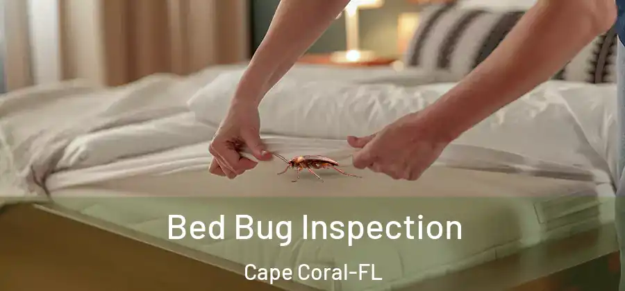  Bed Bug Inspection Cape Coral-FL