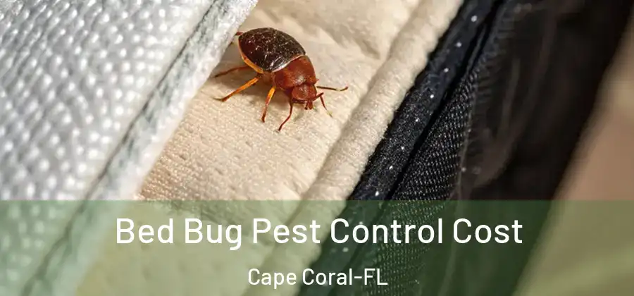  Bed Bug Pest Control Cost Cape Coral-FL