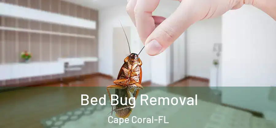  Bed Bug Removal Cape Coral-FL
