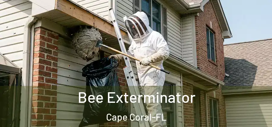  Bee Exterminator Cape Coral-FL