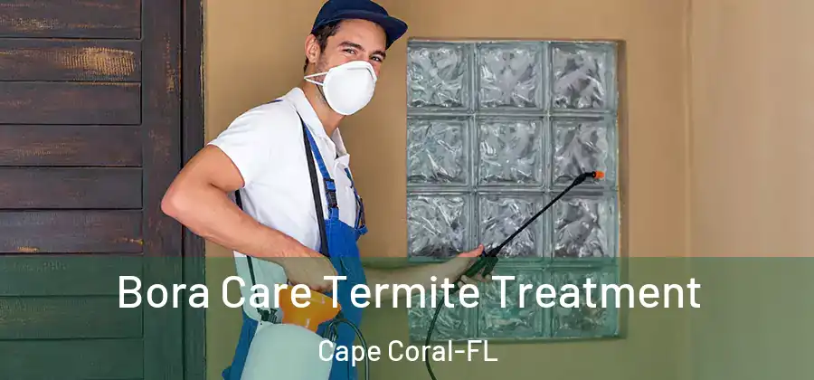  Bora Care Termite Treatment Cape Coral-FL