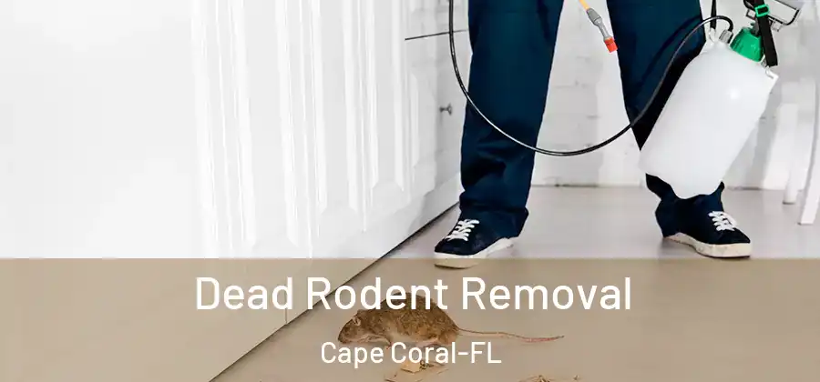  Dead Rodent Removal Cape Coral-FL