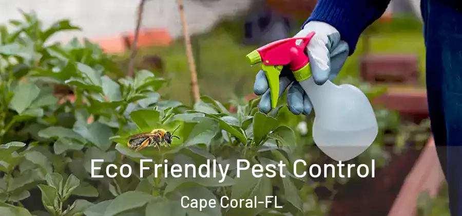  Eco Friendly Pest Control Cape Coral-FL