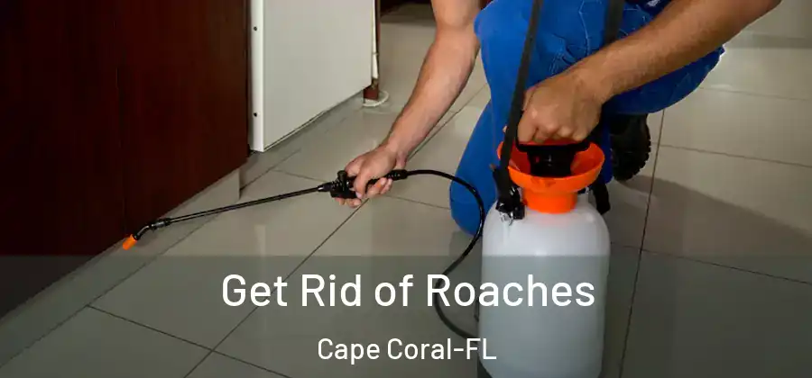  Get Rid of Roaches Cape Coral-FL