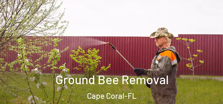  Ground Bee Removal Cape Coral-FL