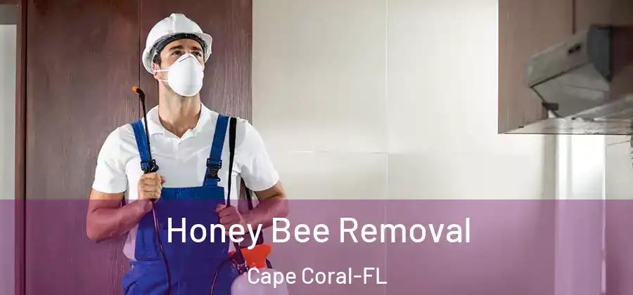  Honey Bee Removal Cape Coral-FL