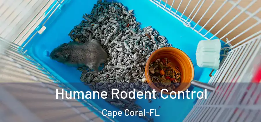  Humane Rodent Control Cape Coral-FL