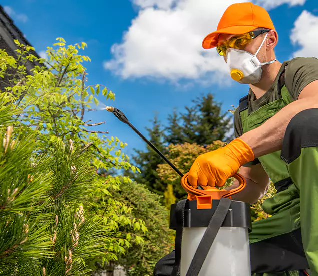 Your Mosquito Repellent Barrier Service in Cape Coral, FL