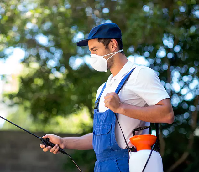 Advanced Soil Termite Treatment Experts in Cape Coral, FL