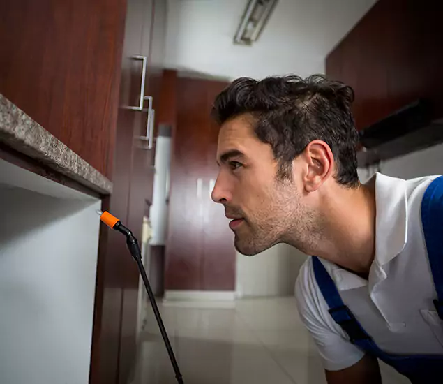 Termite Inspection Cost Experts You Can Trust in Cape Coral, FL