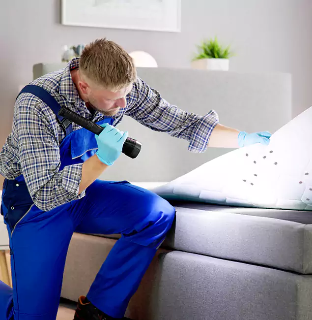 Why Choose Cape Coral Pest Controls For Bed Bug Heat Treatment in Cape Coral, FL?