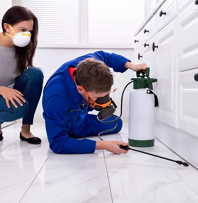 Why Cape Coral, FL Homeowners Trust Cape Coral Pest Controls for Roach Control?