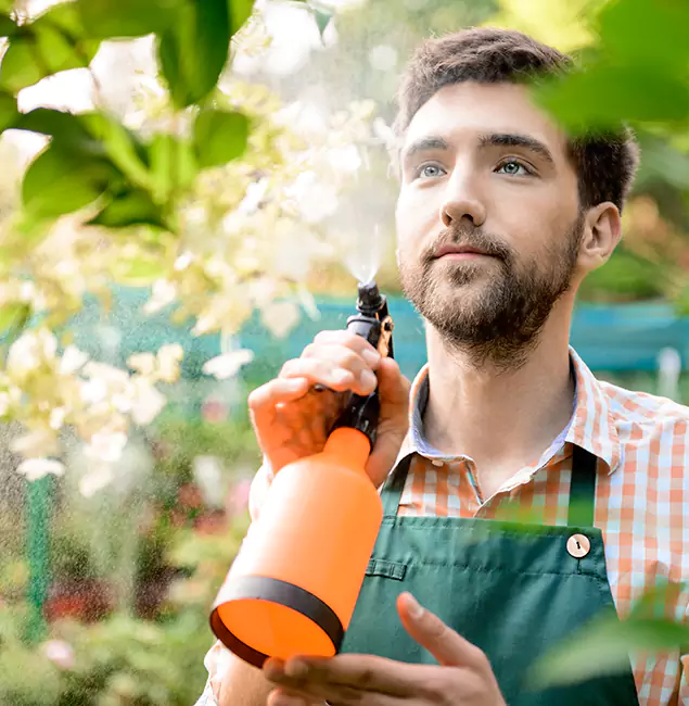 Why Cape Coral Homeowners Call Cape Coral Pest Controls for Mosquitoes in House?