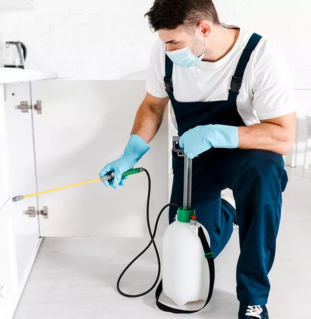 Why Choose Cape Coral Pest Controls for Termite Spot Treatment in Cape Coral, FL?