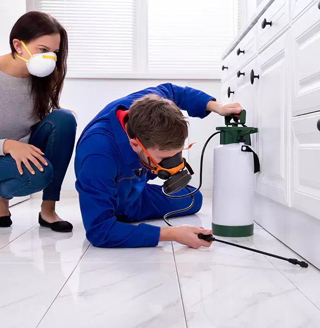Why Choose Wood Termite Treatment by Cape Coral Pest Controls in Cape Coral, FL?