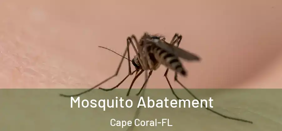  Mosquito Abatement Cape Coral-FL