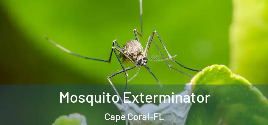  Mosquito Exterminator Cape Coral-FL
