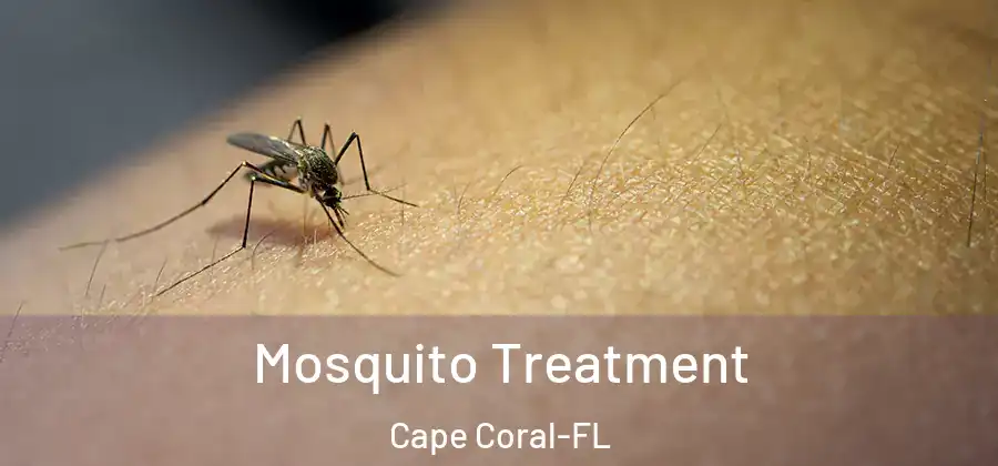  Mosquito Treatment Cape Coral-FL