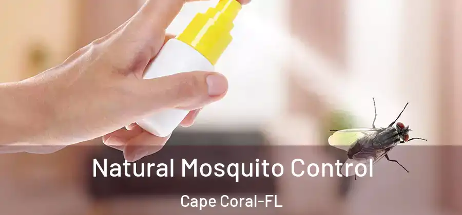  Natural Mosquito Control Cape Coral-FL