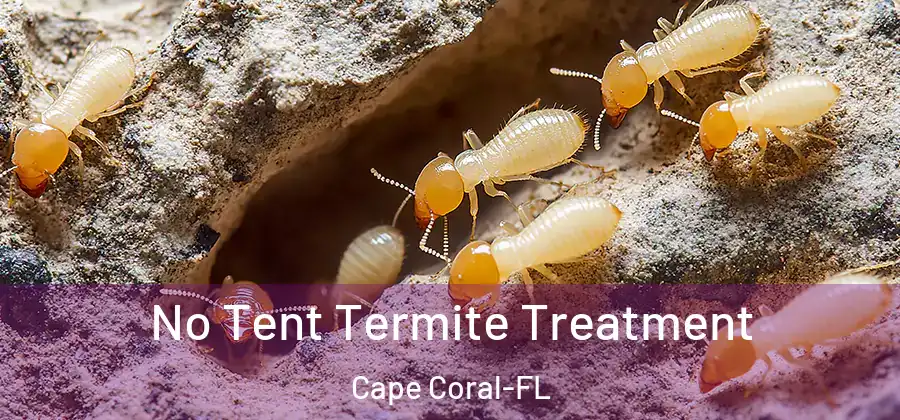 No Tent Termite Treatment Cape Coral-FL
