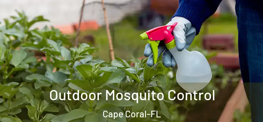  Outdoor Mosquito Control Cape Coral-FL
