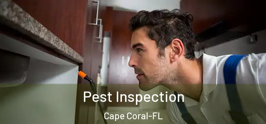  Pest Inspection Cape Coral-FL