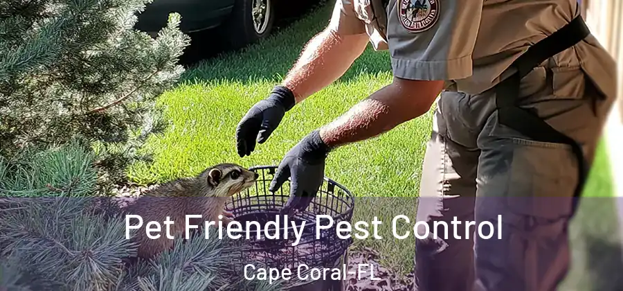  Pet Friendly Pest Control Cape Coral-FL