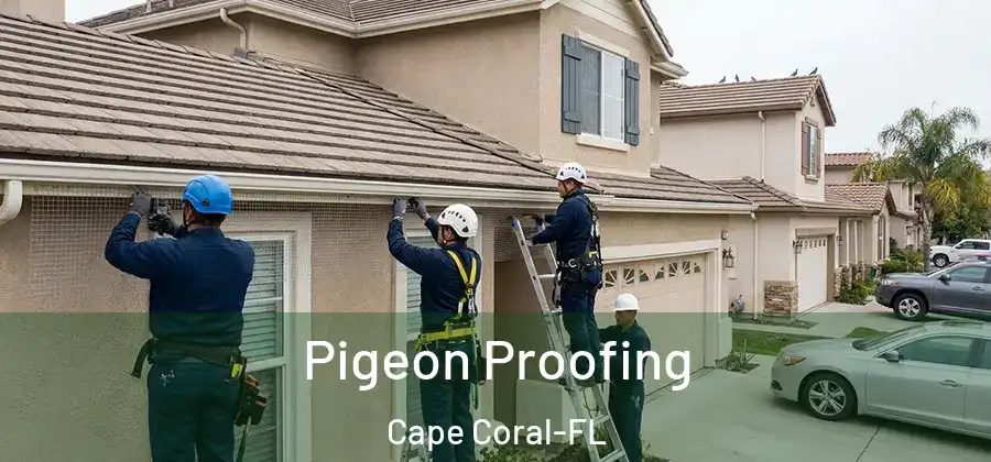  Pigeon Proofing Cape Coral-FL