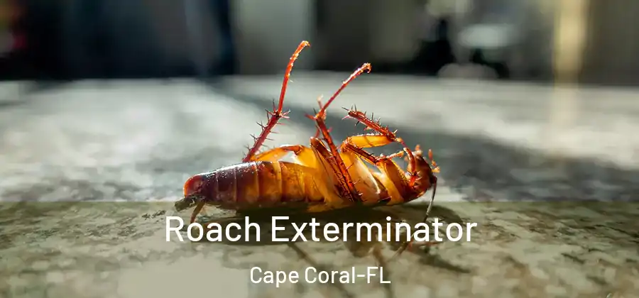  Roach Exterminator Cape Coral-FL