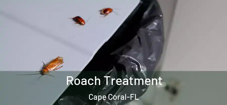  Roach Treatment Cape Coral-FL