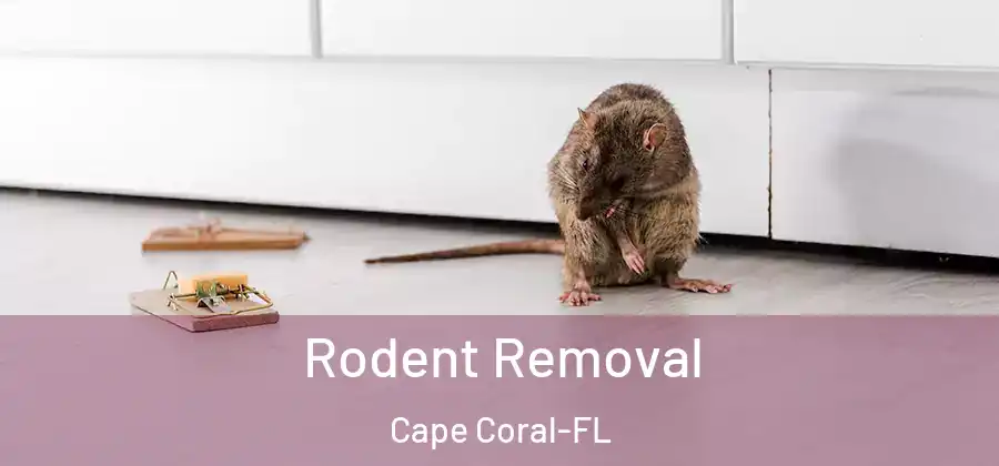  Rodent Removal Cape Coral-FL