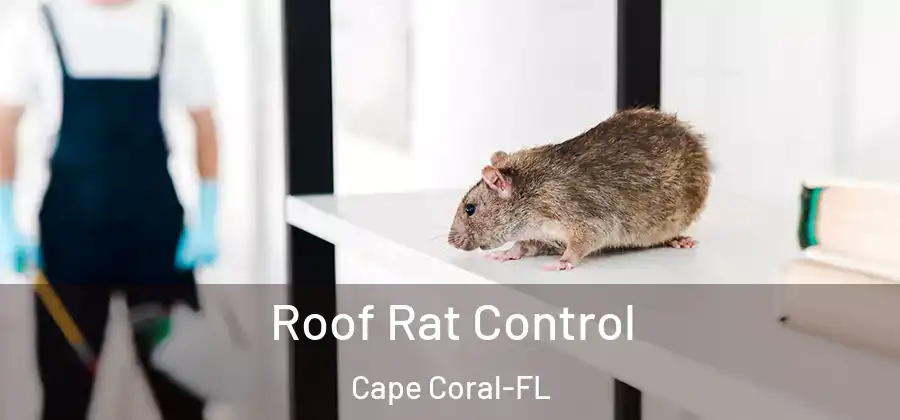 Roof Rat Control Cape Coral-FL