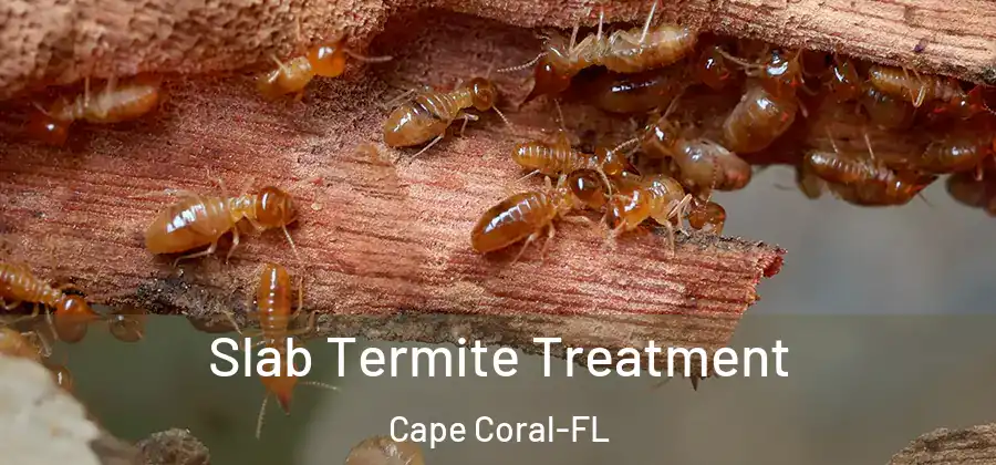  Slab Termite Treatment Cape Coral-FL