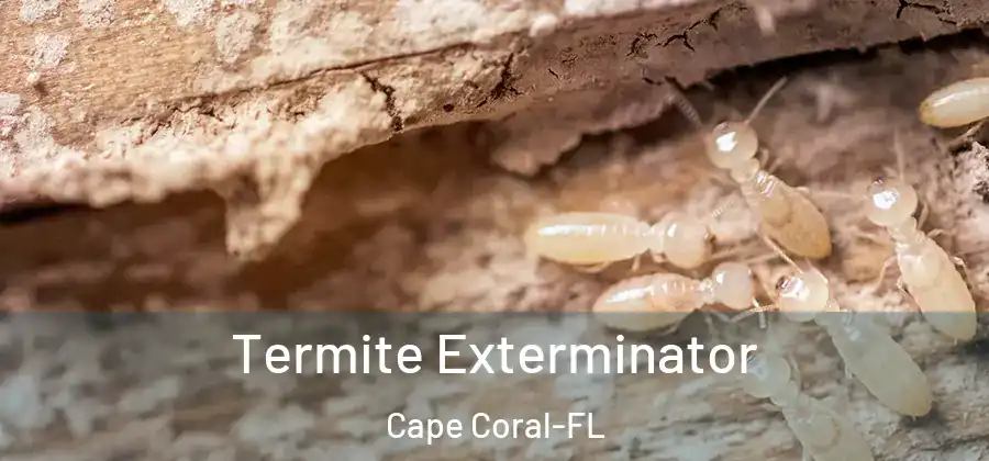  Termite Exterminator Cape Coral-FL