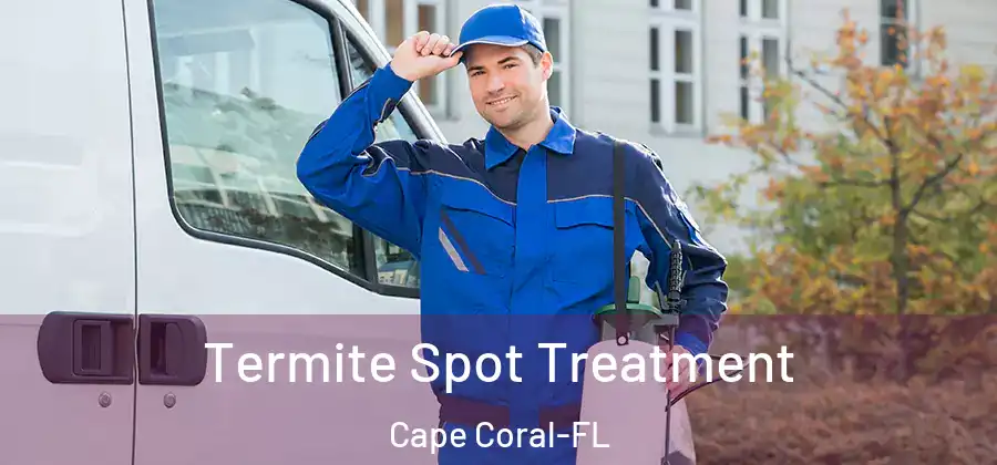  Termite Spot Treatment Cape Coral-FL