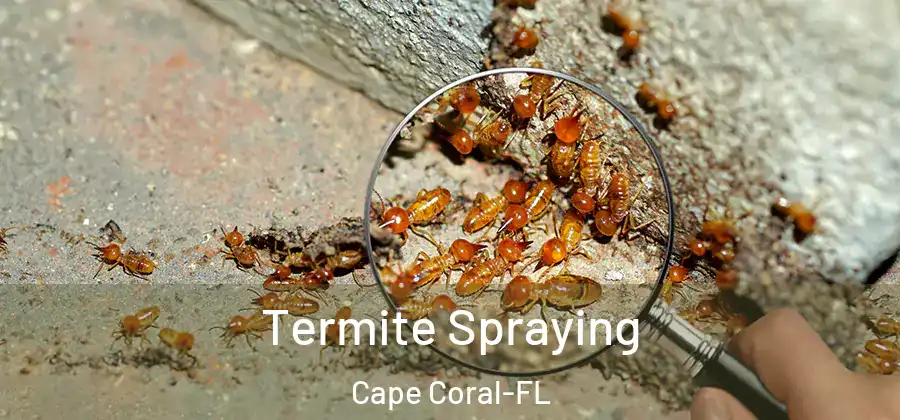  Termite Spraying Cape Coral-FL