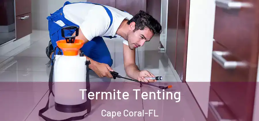  Termite Tenting Cape Coral-FL
