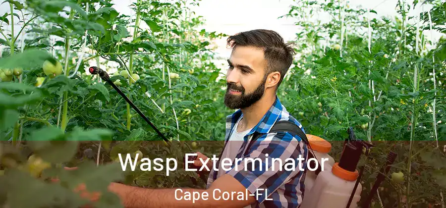  Wasp Exterminator Cape Coral-FL